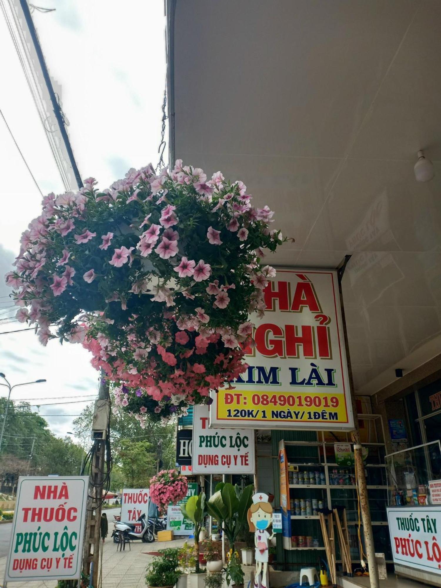 Nha Nghi Kim Lai - Doi Dien Benh Vien Tinh Gia Lai -132 Ton That Tung プレイク エクステリア 写真
